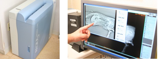 ����ǂ������a�@ CR�V�X�e��